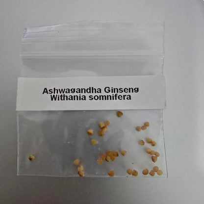 Ashwagandha – 30 Seeds