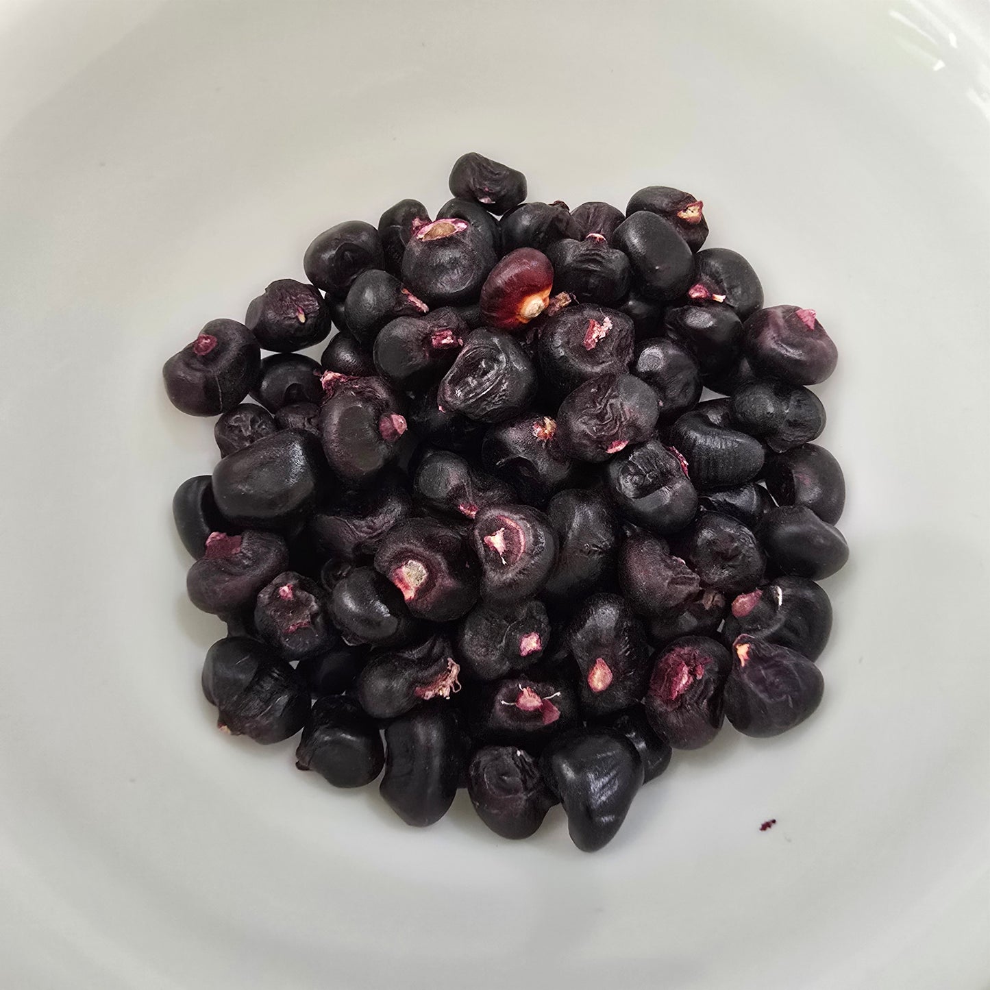 Maize Corn- Montana Morado- 20 seeds