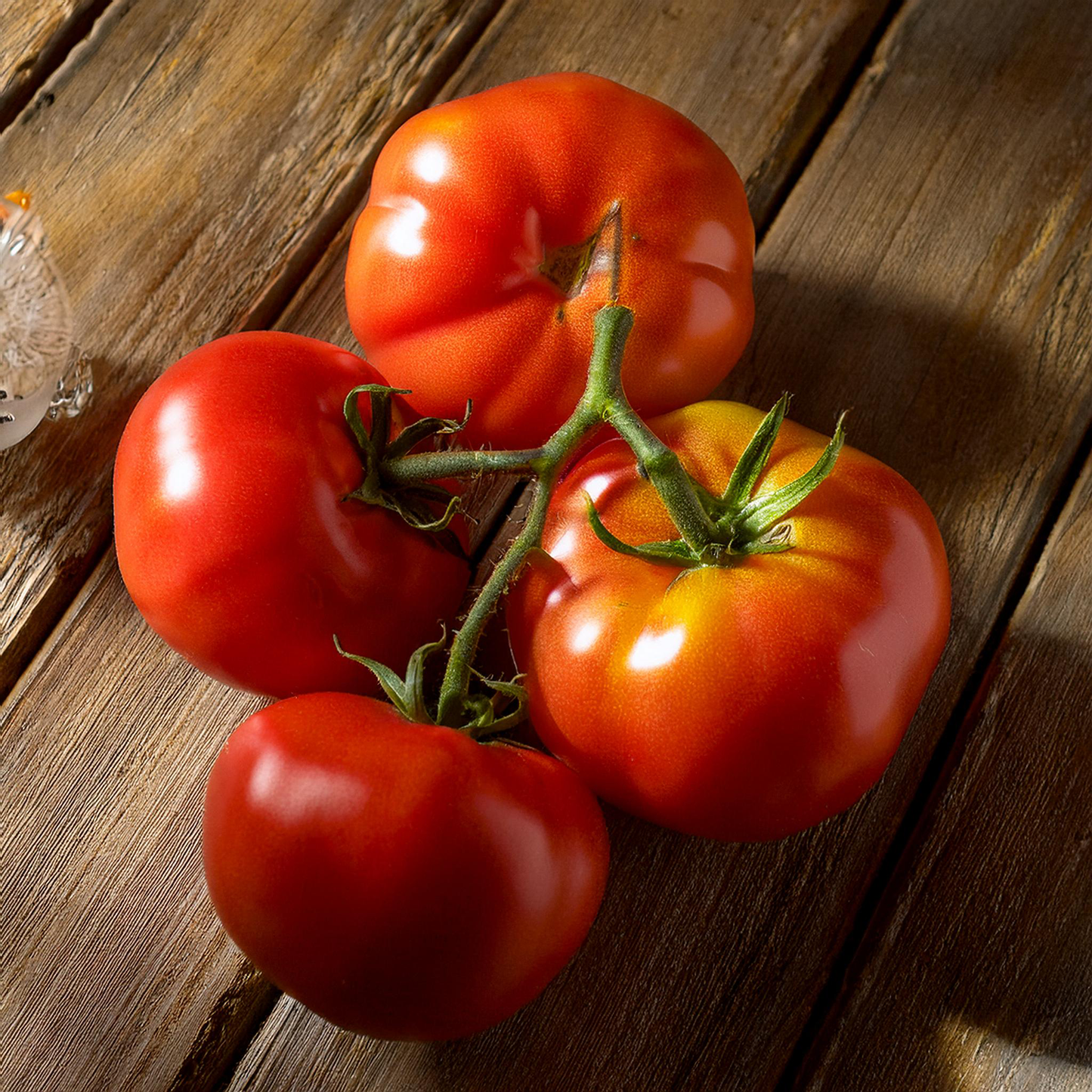 Tomato - Floradel Tomato Seeds- Non-GMO Heirloom - 30 seeds