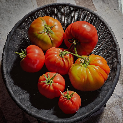 Tomato 'Pineapple' – 30 Seeds, Heirloom, Non-GMO